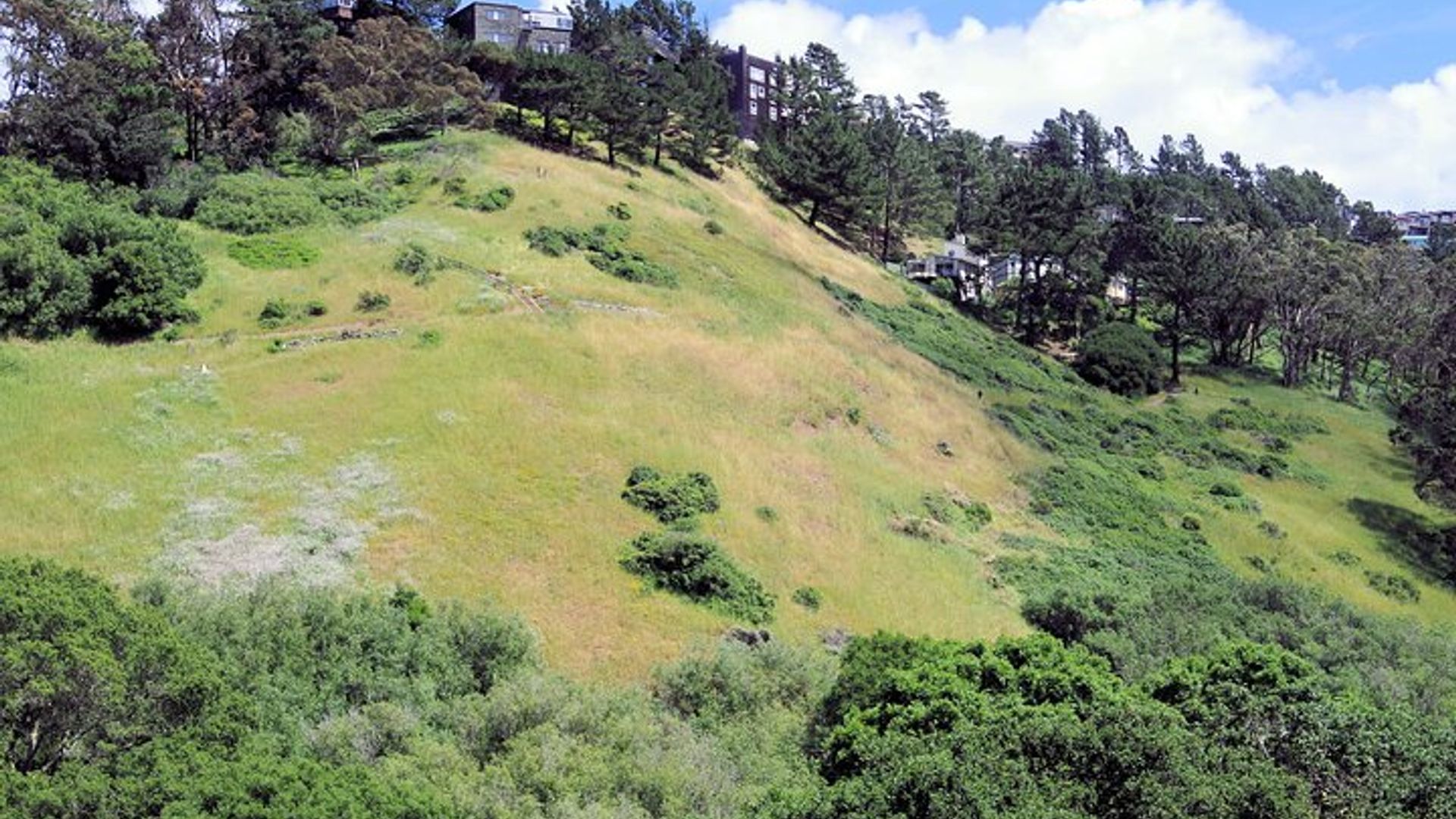 San Francisco's Glen Park and Glen Canyon: A Self-Guided Tour image 1