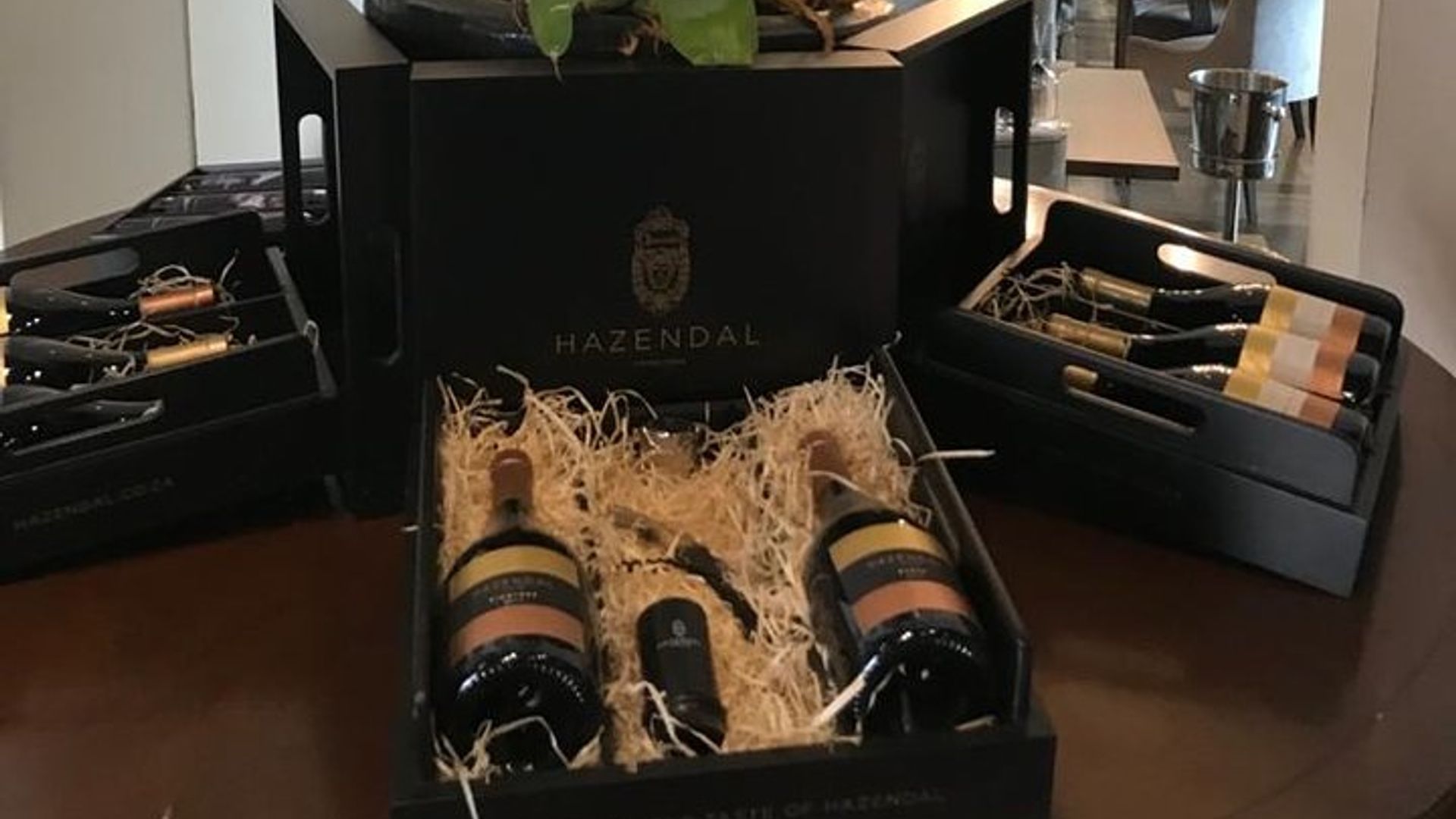 Kapstadt: Private Walbeobachtungs- und Weintour