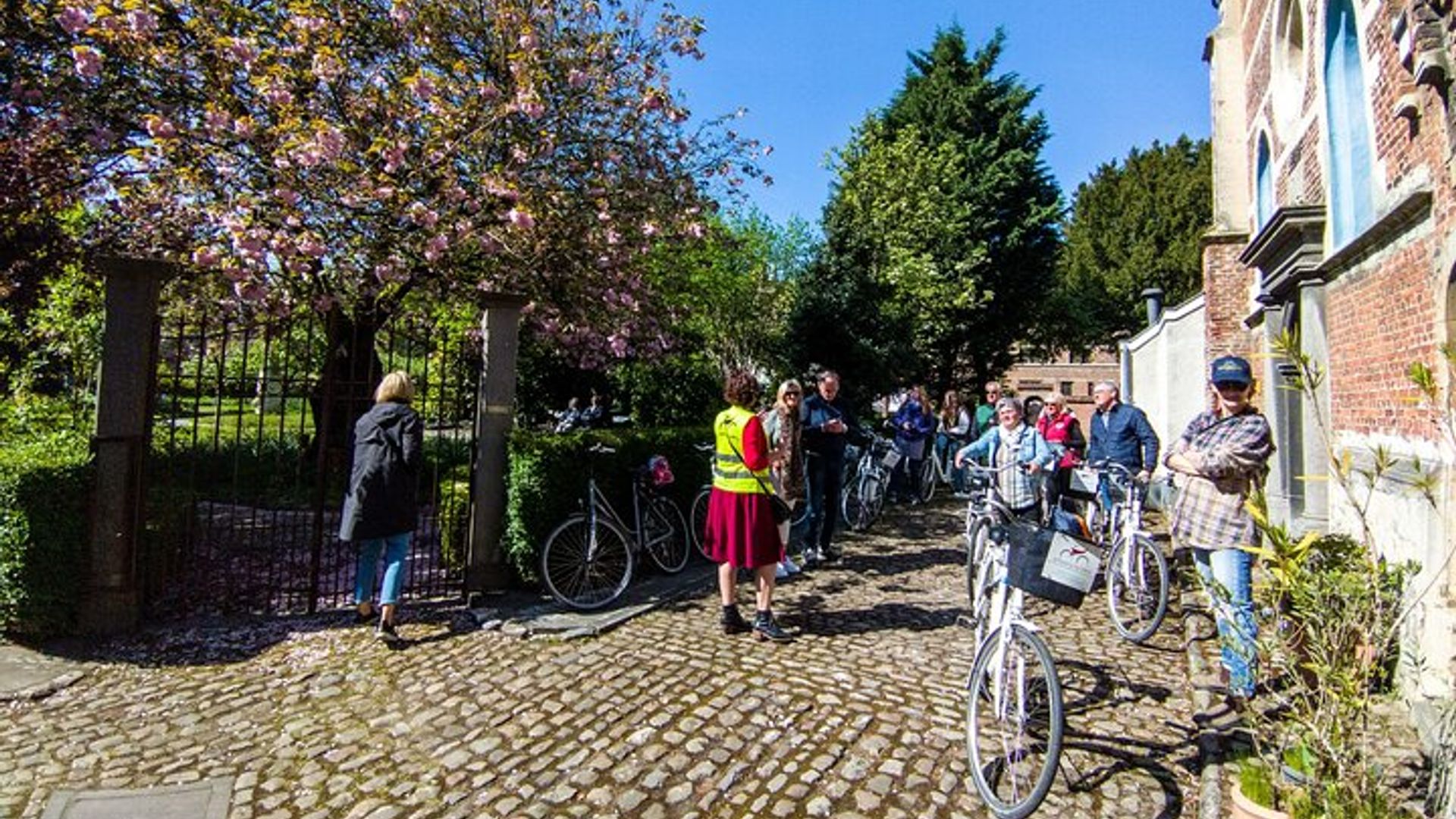 Tour in bicicletta guidato: 2 ore - I punti salienti di Anversa