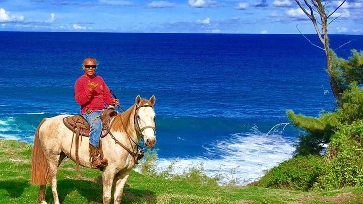 West Maui Mountains and Waterfall Horseback Tour