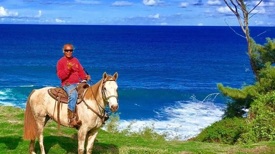 West Maui Mountains and Waterfall Horseback Tour