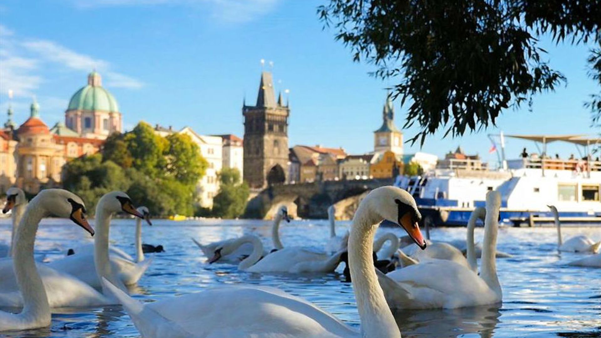 Prague: 50-Min River Cruise + Interactive Online Guide