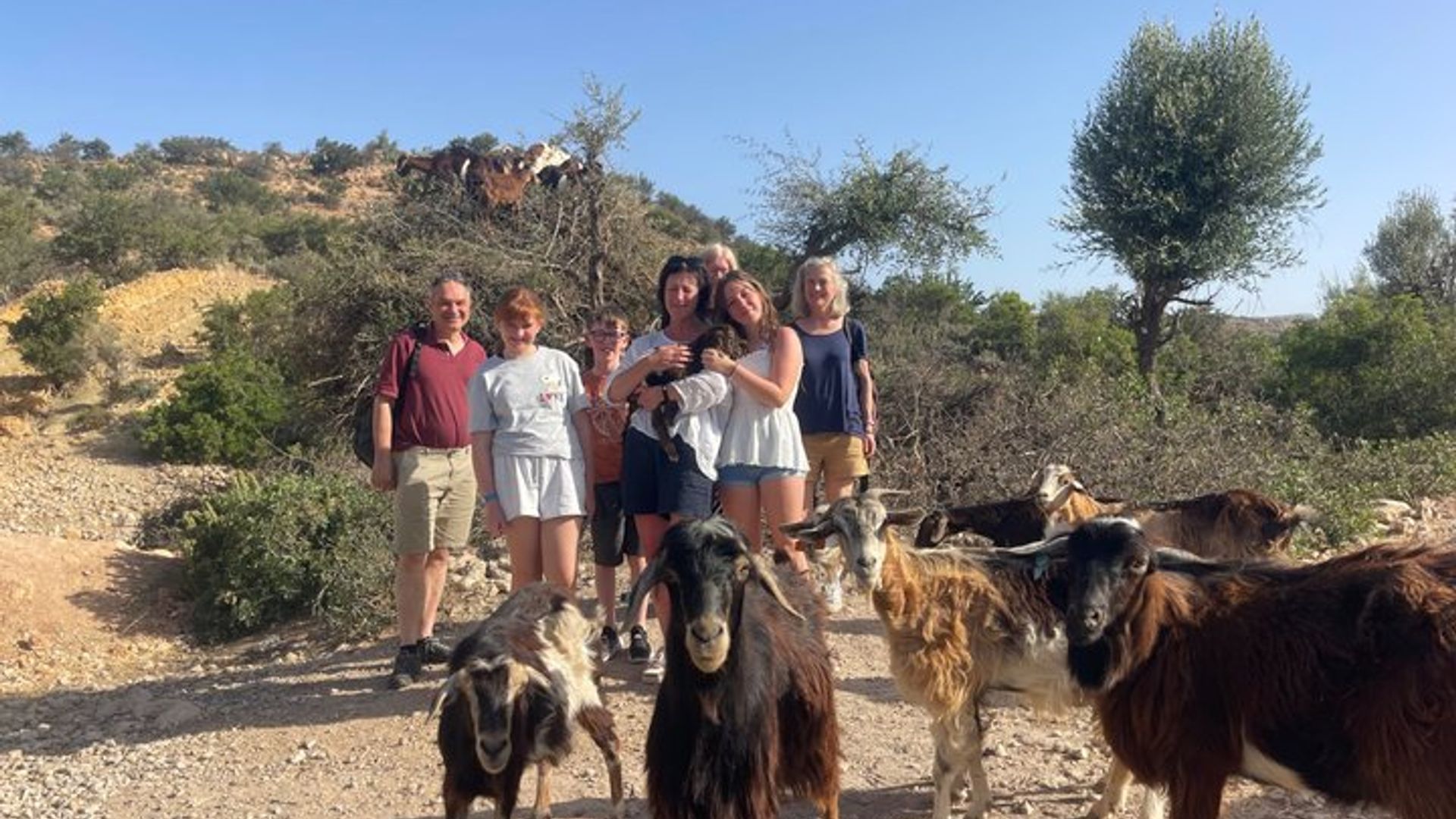 Paradise Valley & Atlas Mountain Tour mit Hoteltransfers