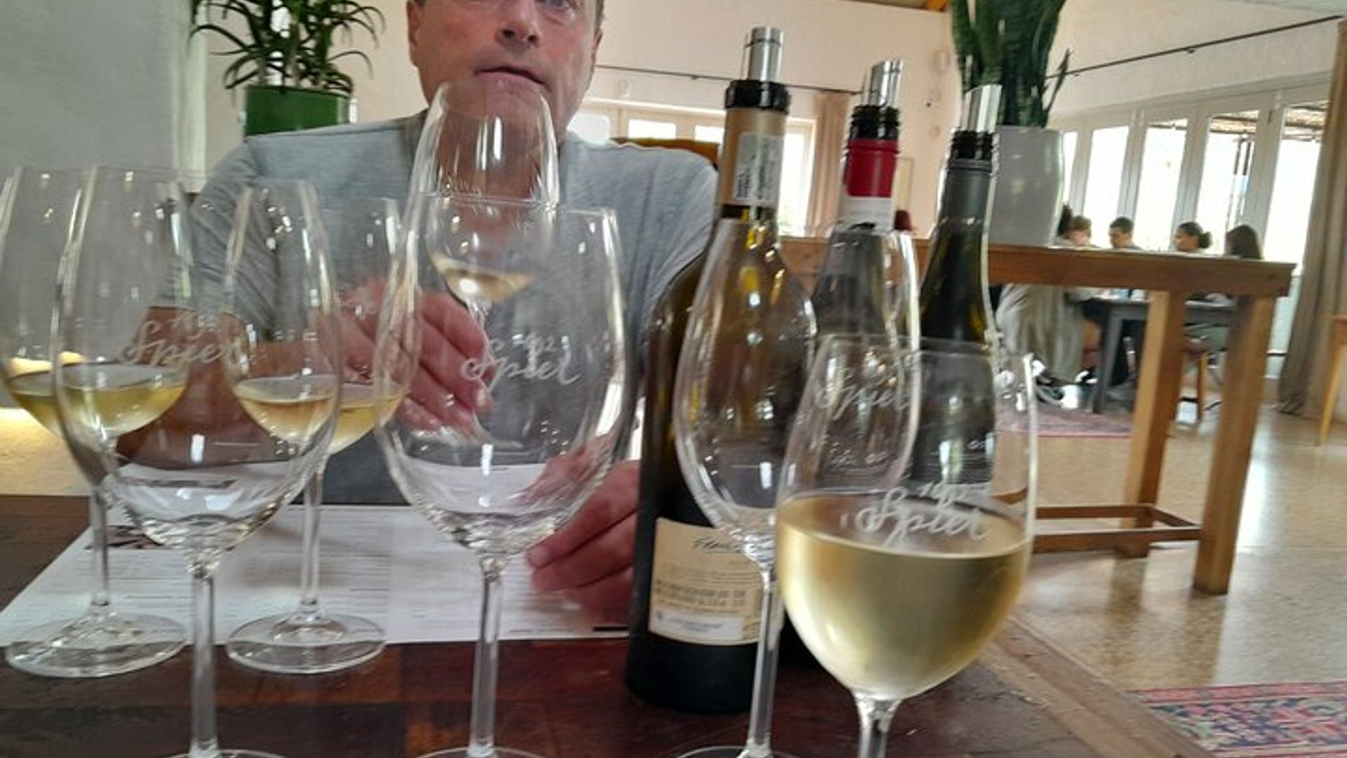 Top 5 Wineland pour une expérience privée de dégustation et d'accord de vins
