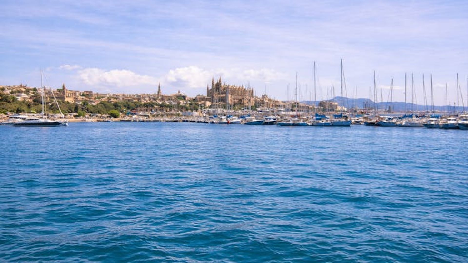 Tour di scoperta di Illetas