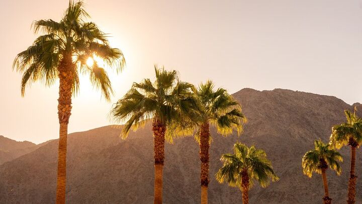 Joshua Tree & Palm Springs: Self-Guided Driving Audio Tours