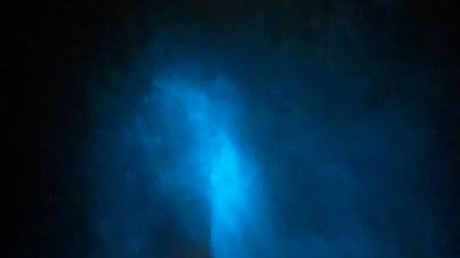 Isla Holbox: Small-Group Bioluminescence and Stargazing Tour
