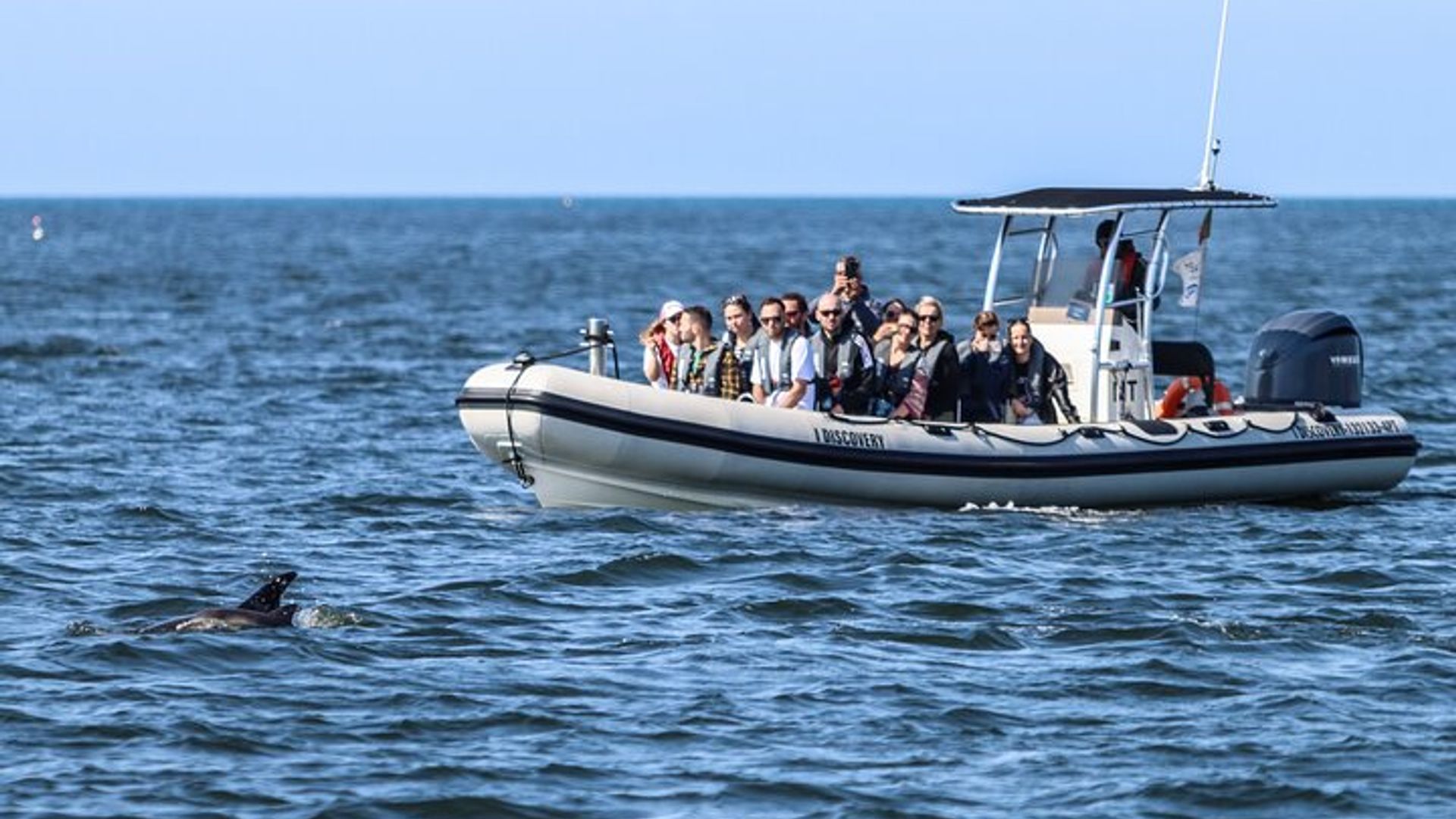 Lisbon Small-Group Dolphin Watching Cruise