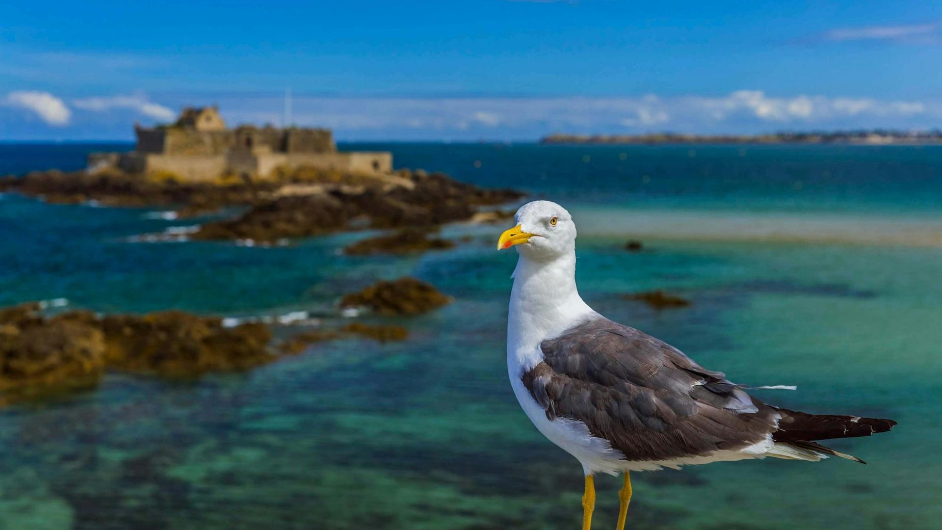 Saint-Malo self-guided walking tour with audio app
