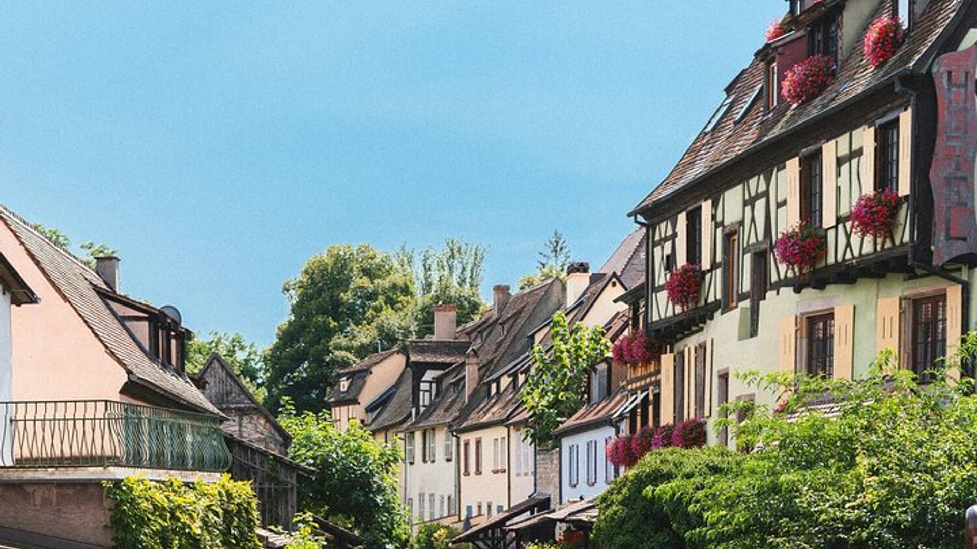 Tour privado a Colmar, Eguisheim y Riquewihr desde Estrasburgo