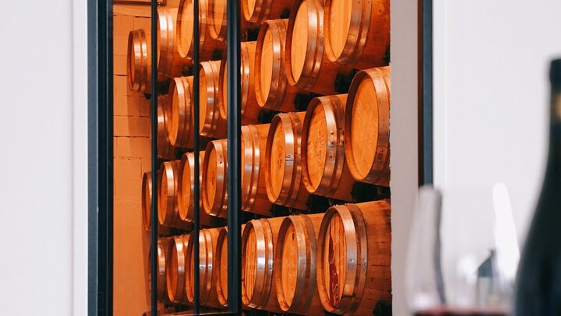 Weinbergtour und Weinprobe in Davron