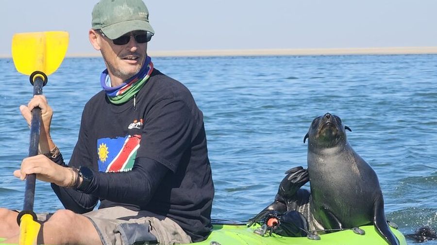 Seal Kayaking and Sandwich Harbour Tour