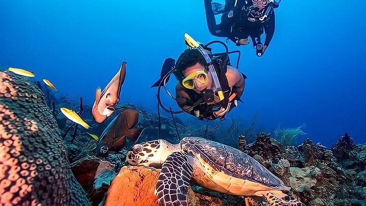 Kemer Scuba Diving Experience with Lunch and Transfer