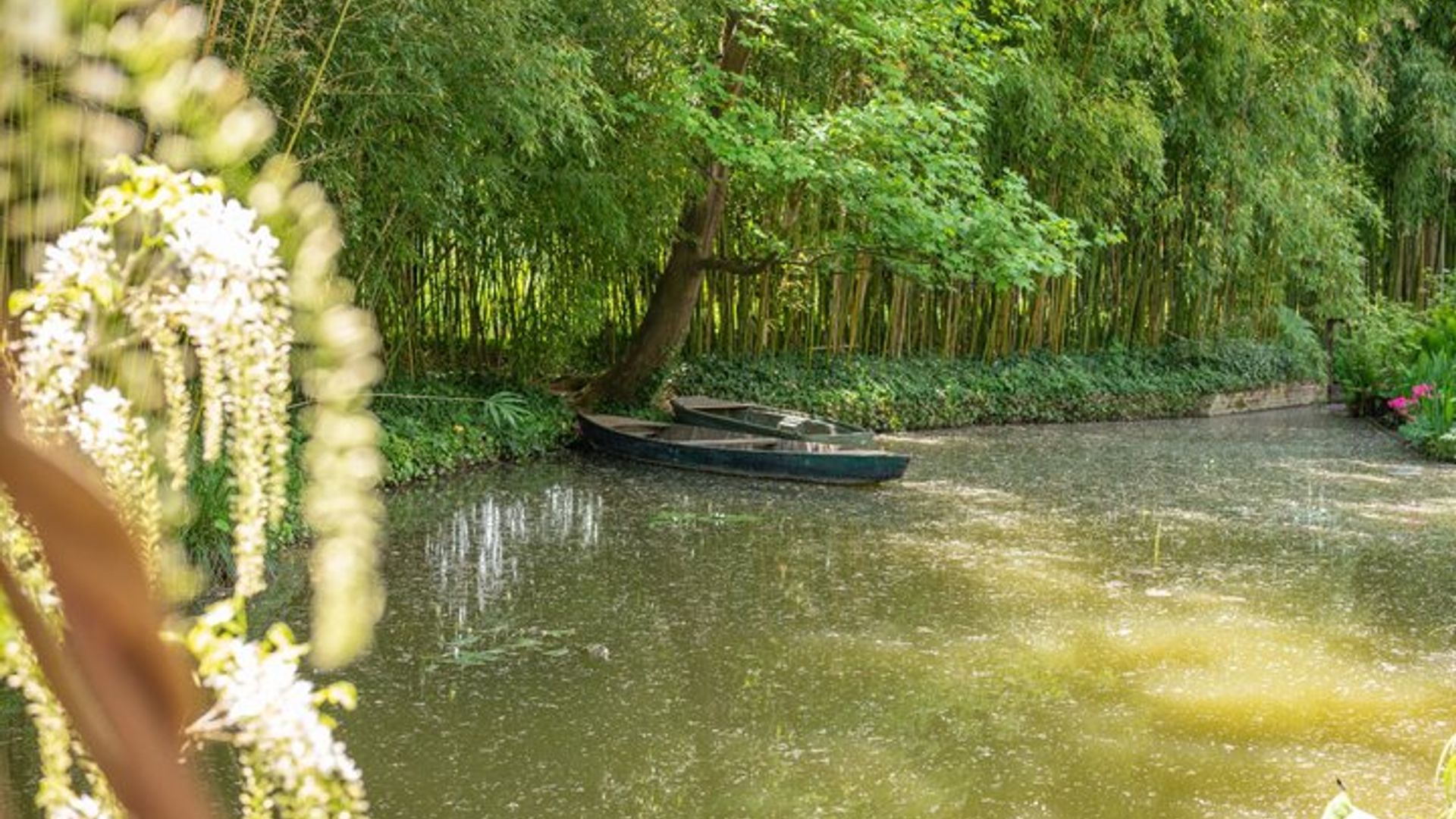 Excursión privada a Giverny desde Le Havre con recogida