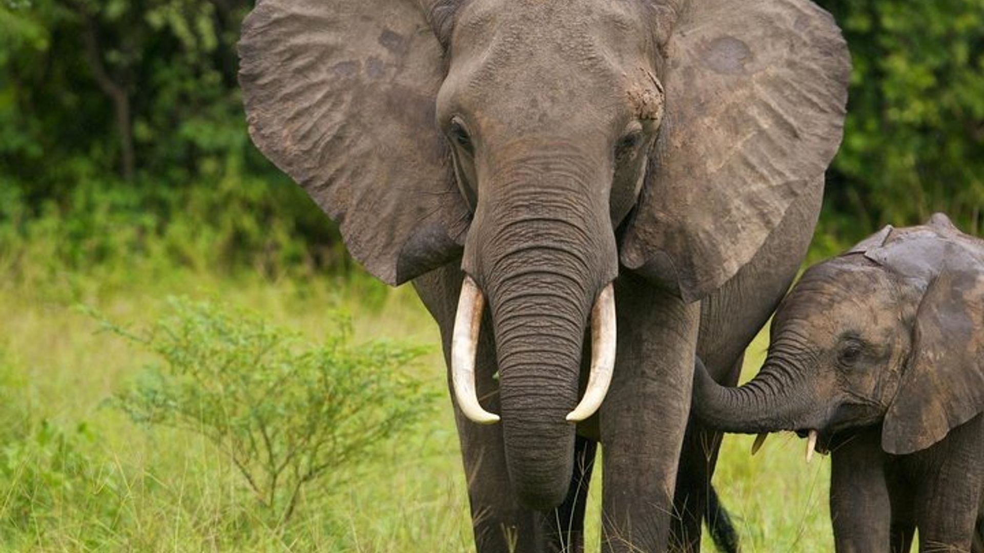 Johannesburg to Cape Town 10-Day Private Safari Tour