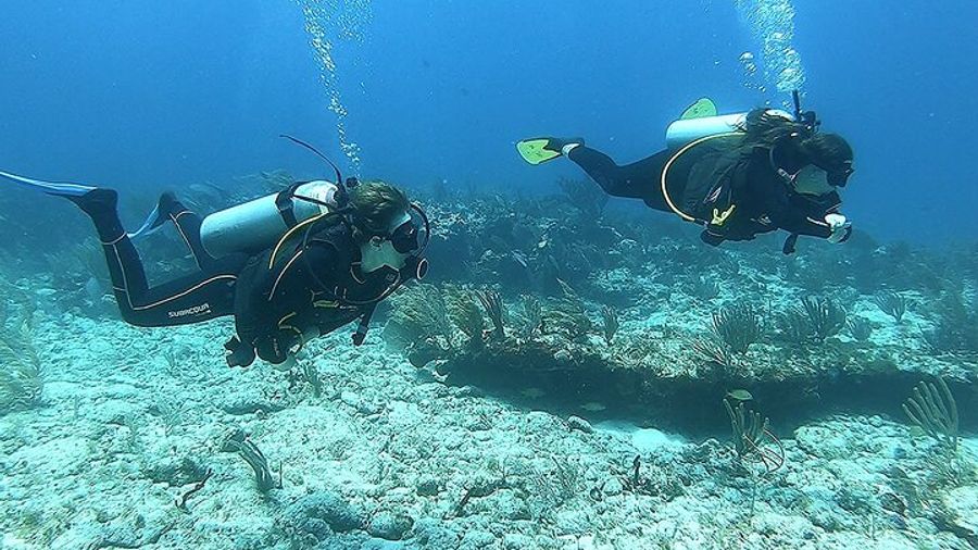 Puerto Morelos Reef National Park 2-Tank Scuba Dive