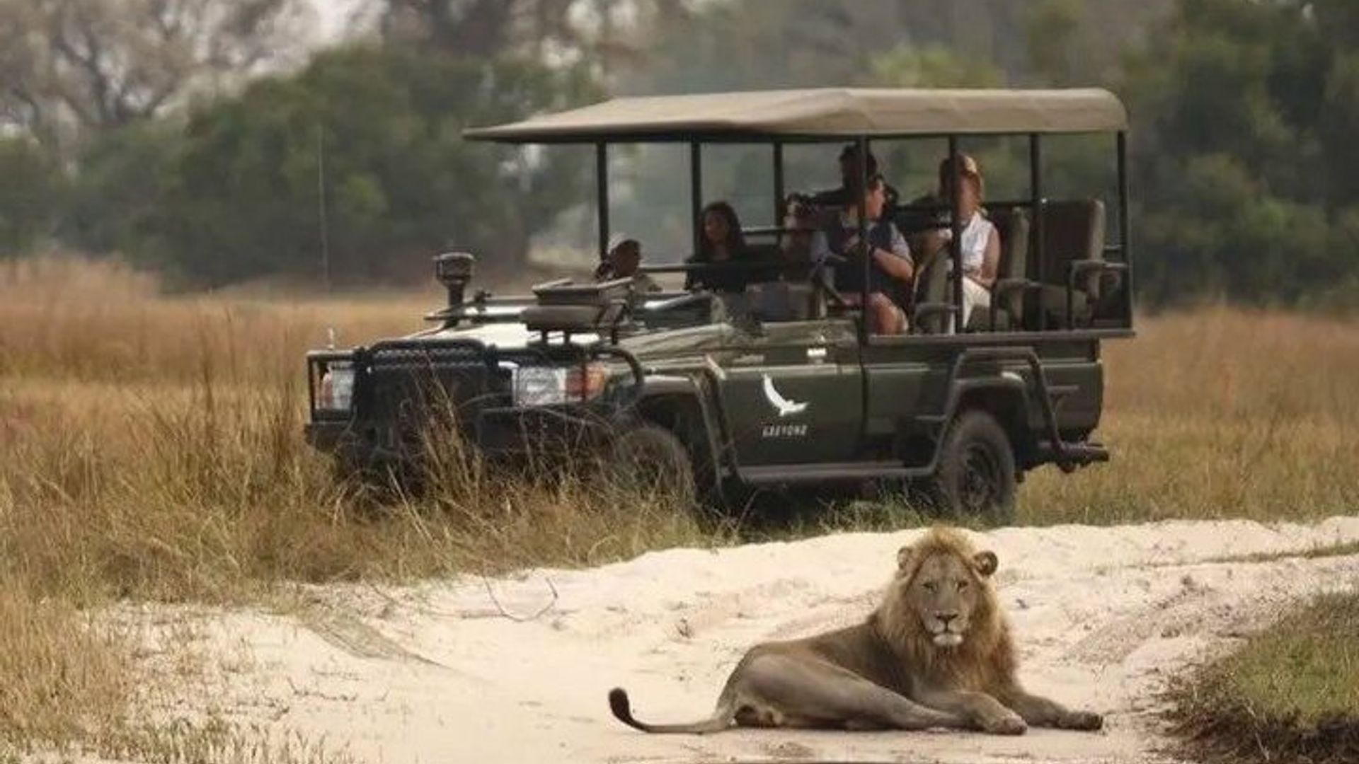 Experiencia de Safari de Vida Silvestre en Mossel Bay