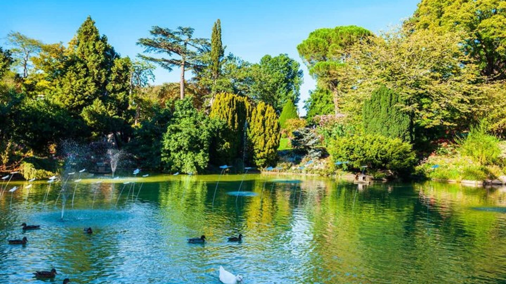 Hello Angers: Private 2 Hour Intro City Walk with Local Guide