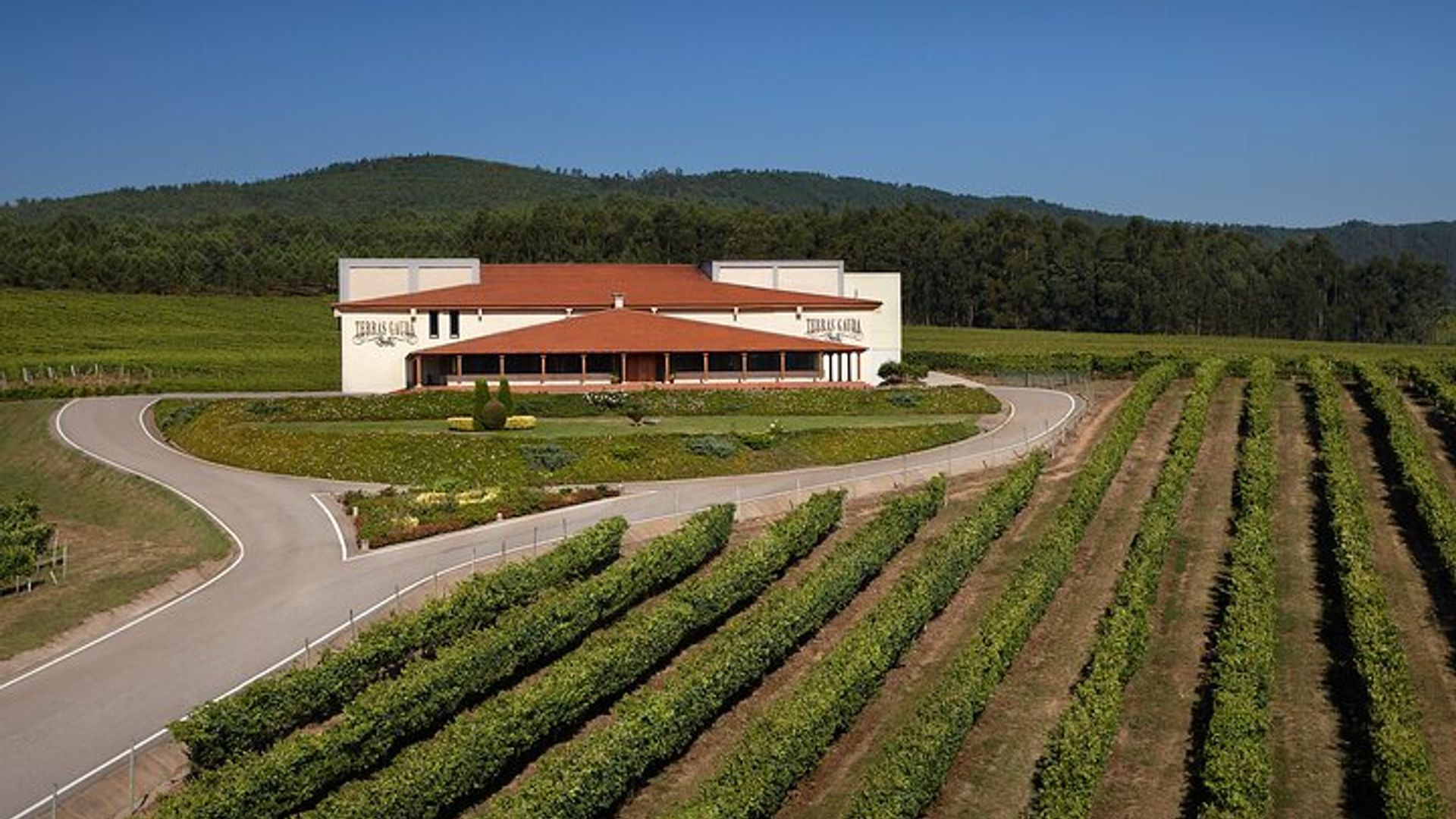 Albariño Wine Tour: Taste, Learn & Take Home a Special Gift