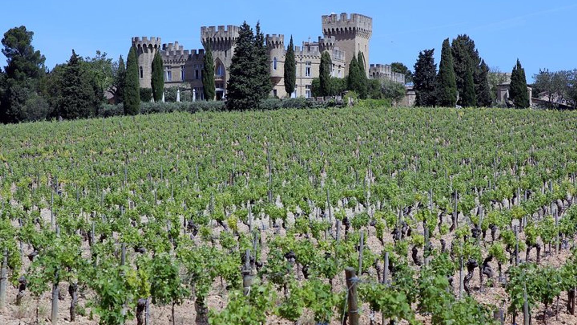 Châteauneuf Du Pape expérience viticole intensive et vins fins