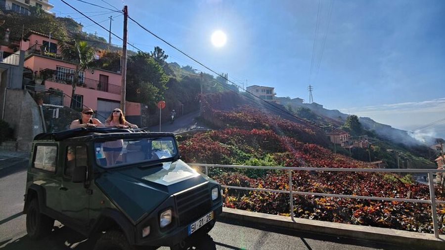 Funchal Private Half-Day 4x4 Sightseeing Tour with Hotel Pickup