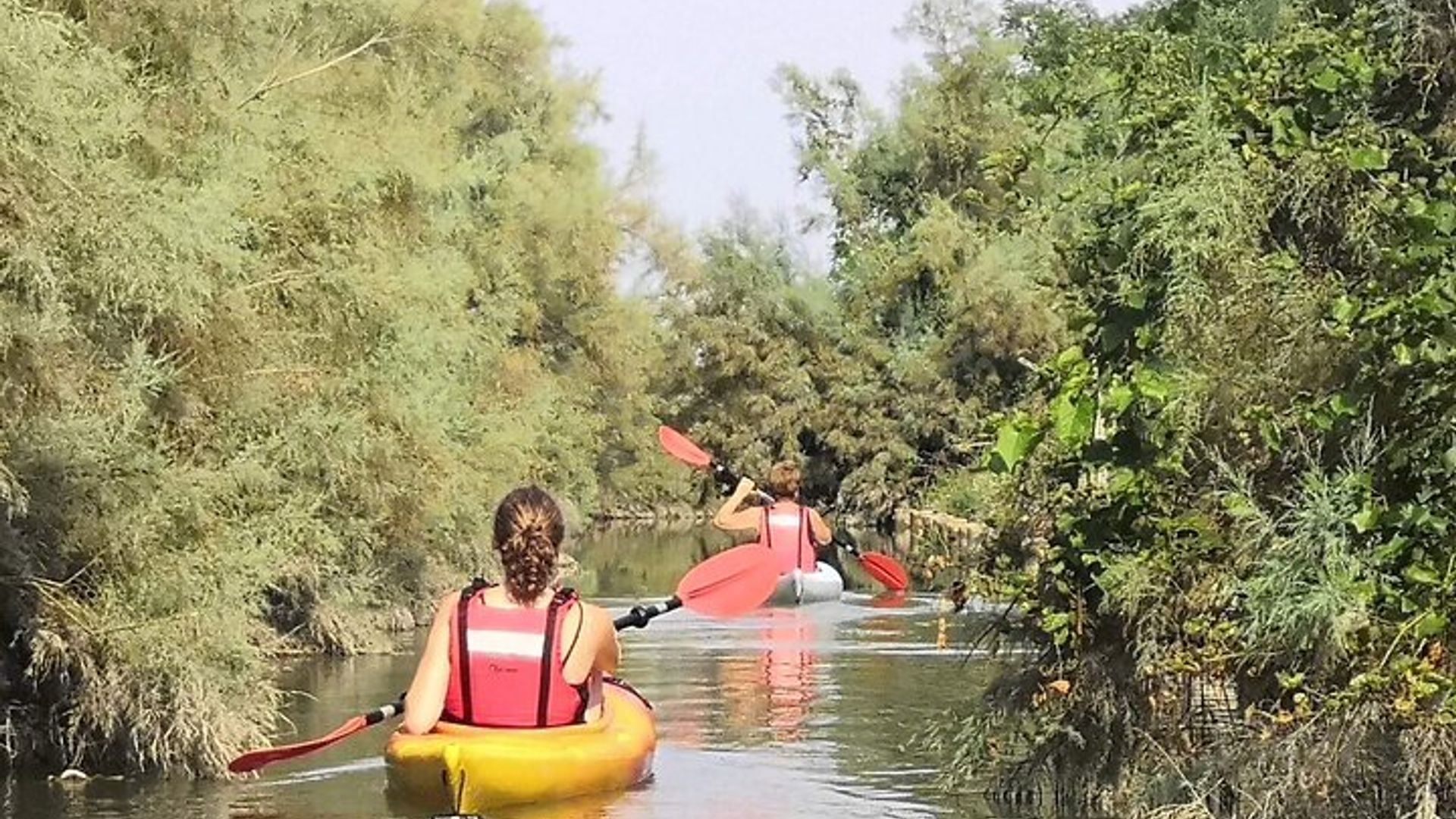Italy Venetian Lagoon Private Kayak Tour