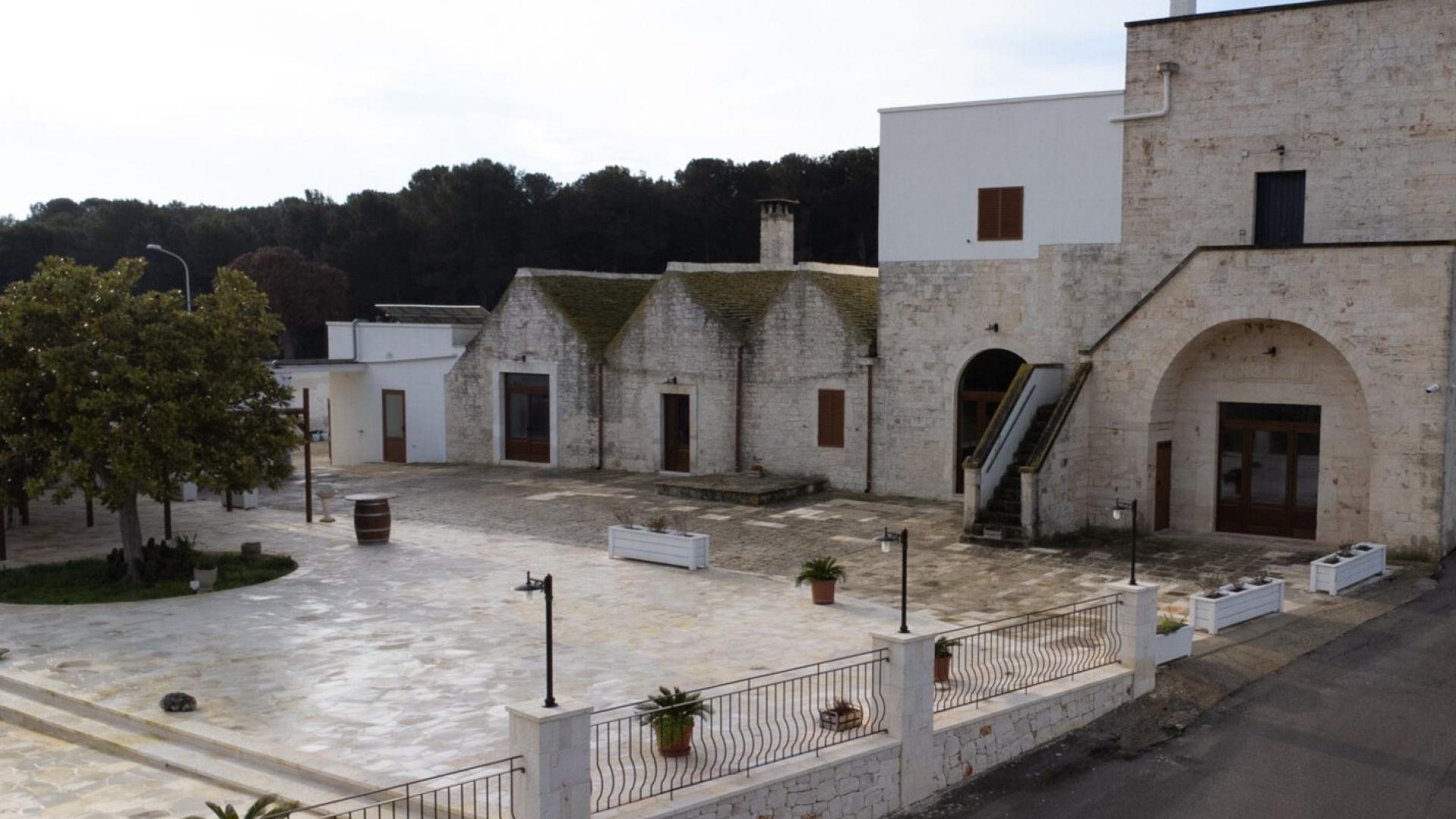 Alberobello experience: wine and food pairing at Masseria Torricella winery
