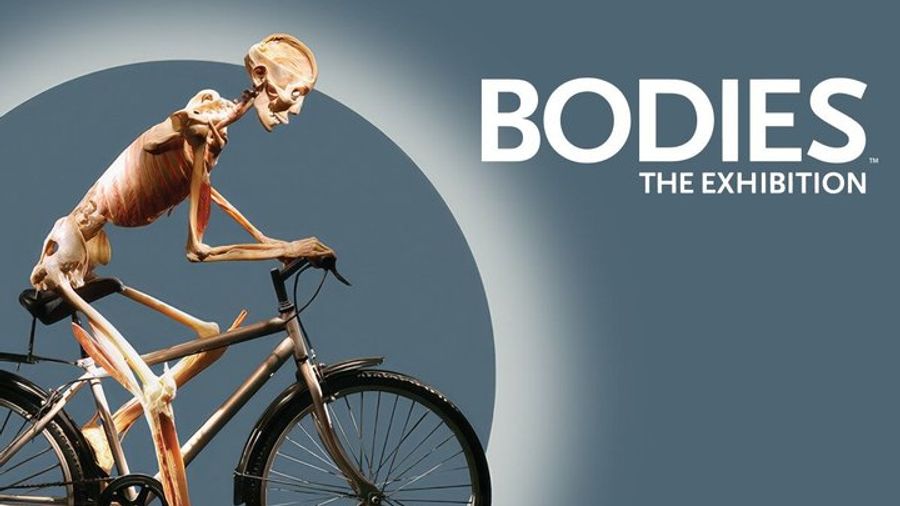 Las Vegas: "Bodies: The Exhibition" Admission at Luxor Hotel