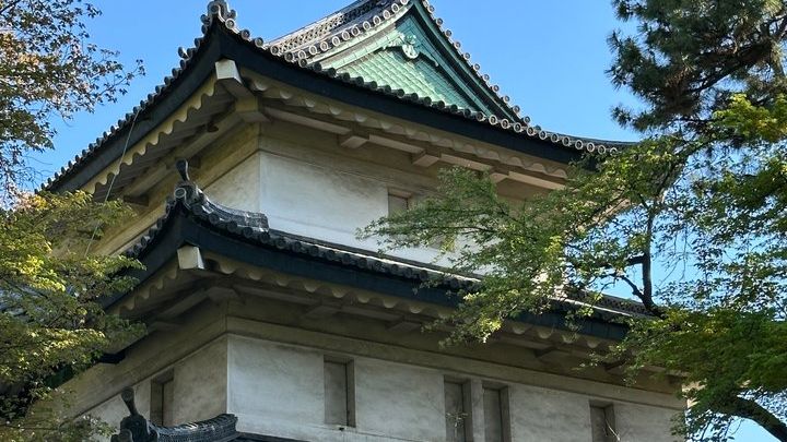 Tokyo Imperial Palace and Shogun History Walking Tour
