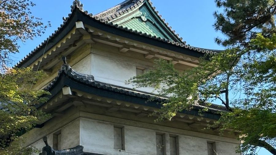 Tokyo Imperial Palace and Shogun History Walking Tour
