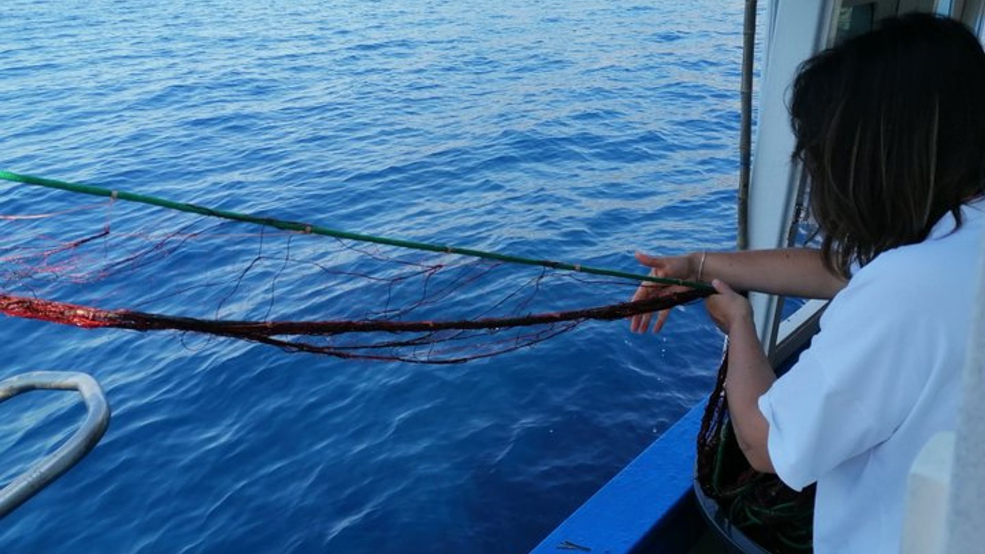Turismo de pesca en la isla de Elba con almuerzo a bordo