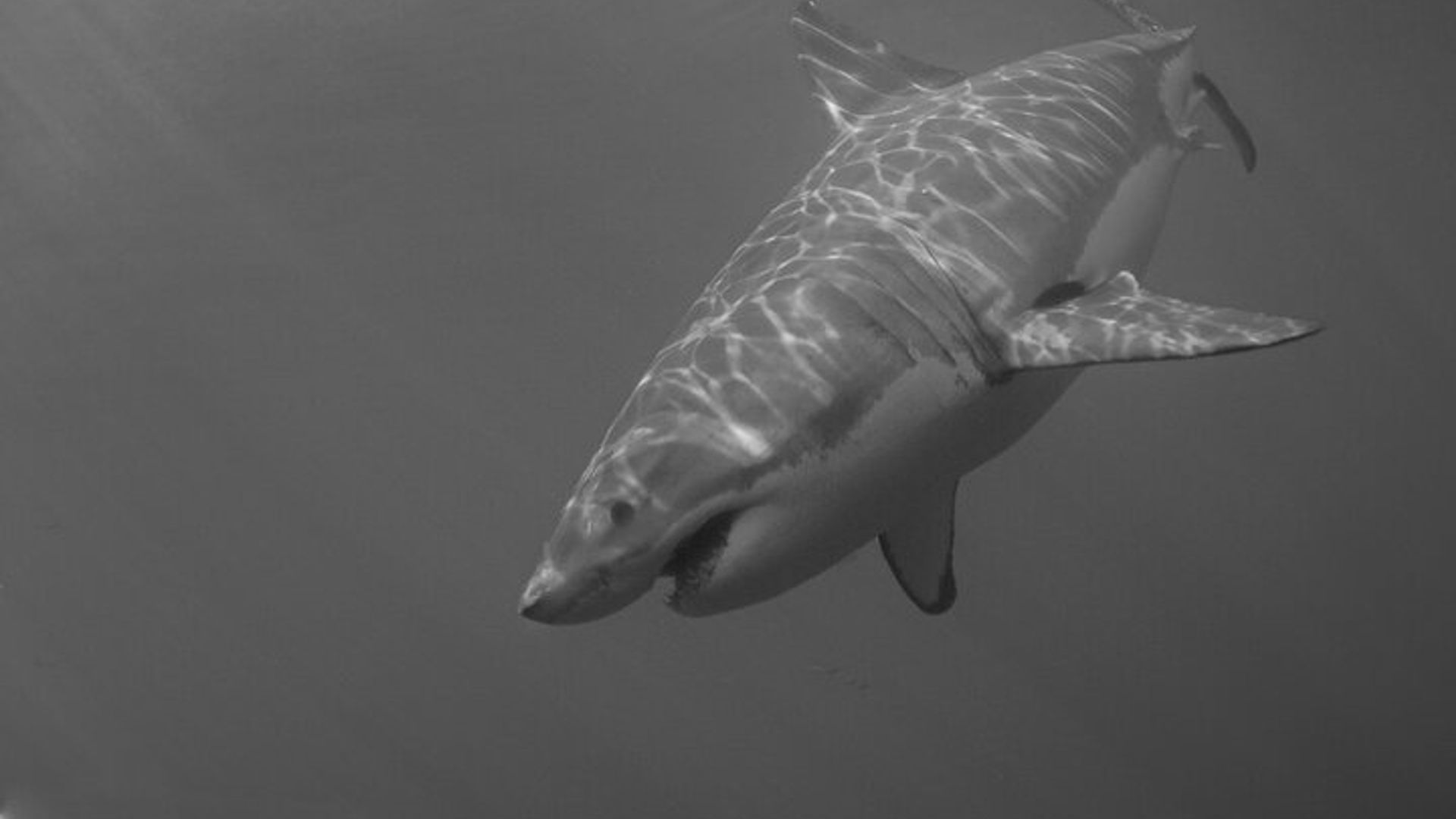 Los mejores lugares para visitar en Monterey Bay