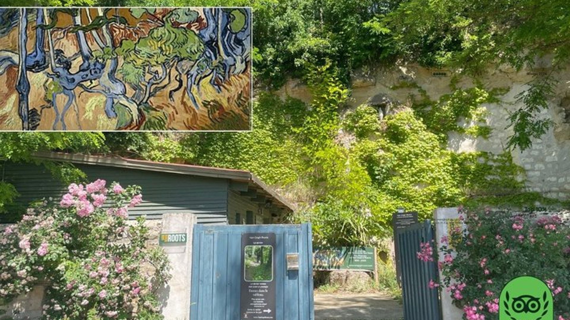 París : Auvers-sur-Oise Tour privado de pintura “Raíces de árboles”