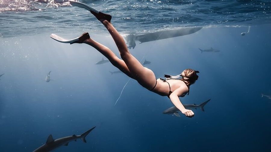 Cage-Free Shark Diving Experience with Snorkels, Oahu
