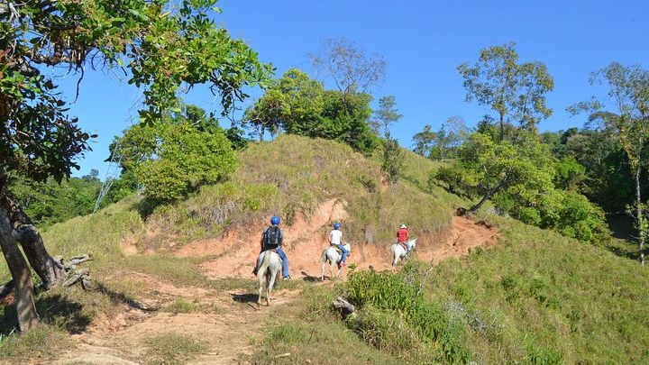 Excursión guiada a caballo en Manuel Antonio