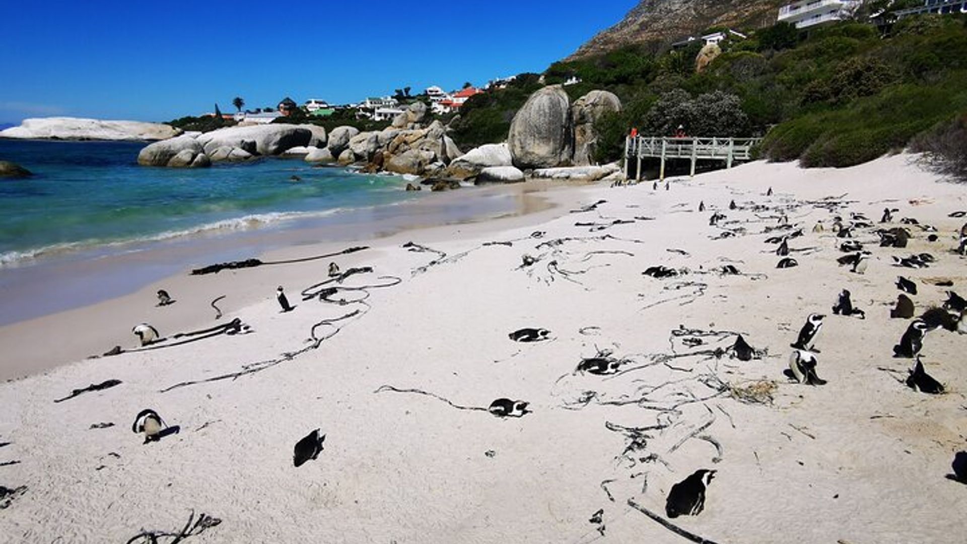 Cape Point Small-Group Guided Tour