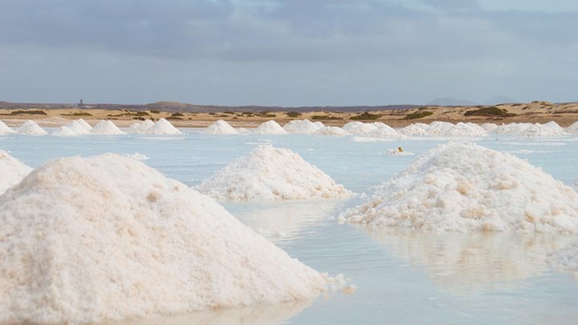 Segway Tour of Santa Maria