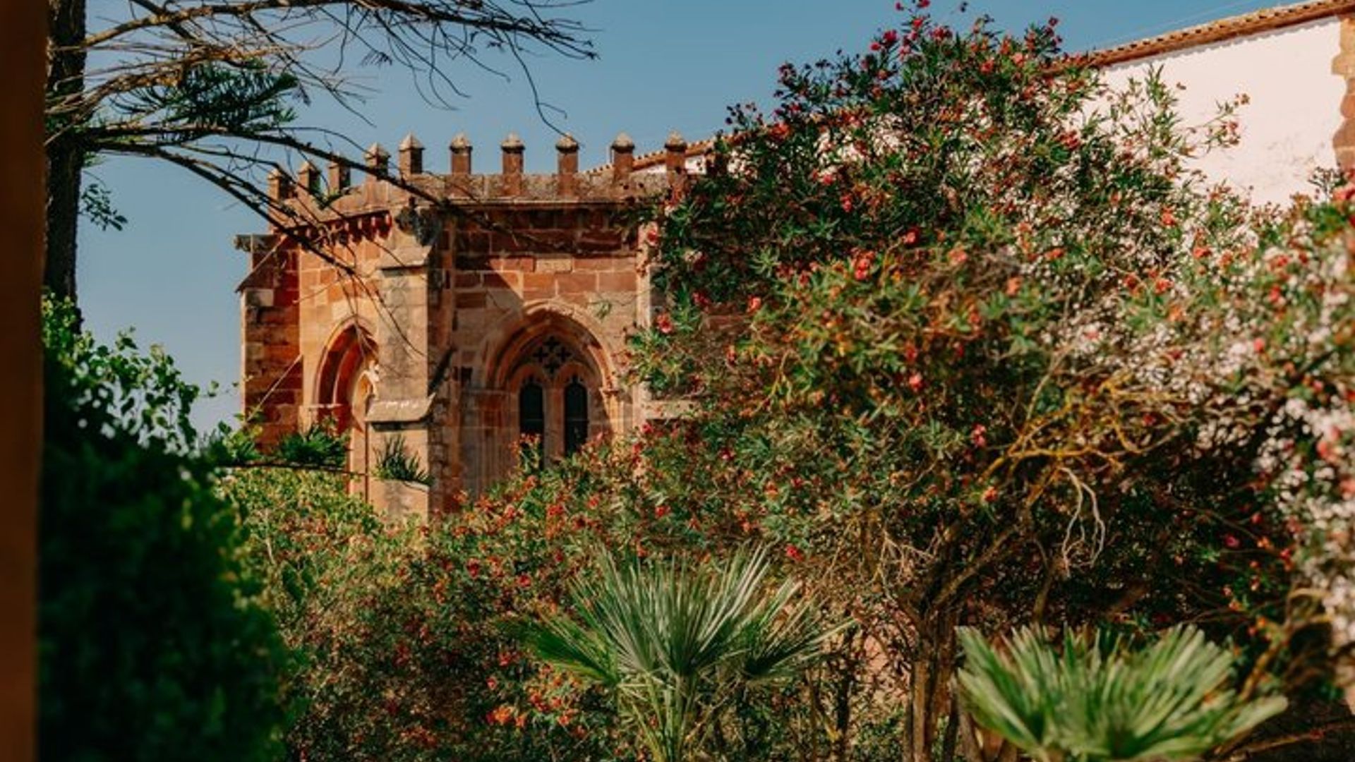 Tour de día completo de Albufeira a Silves y bodegas con degustaciones