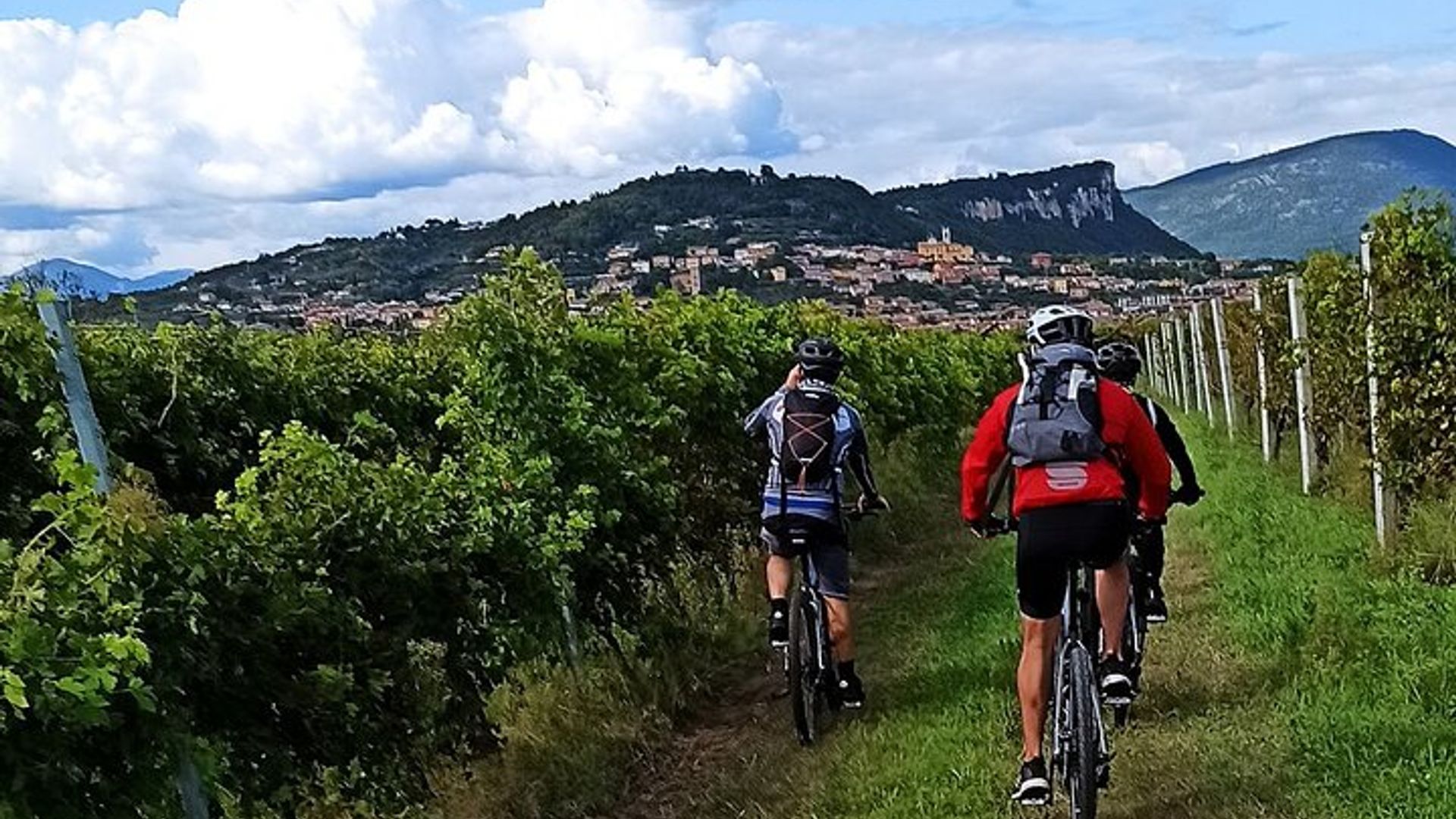 Cavaion Veronese Wine Tasting e-Bike Tour from Bardolino