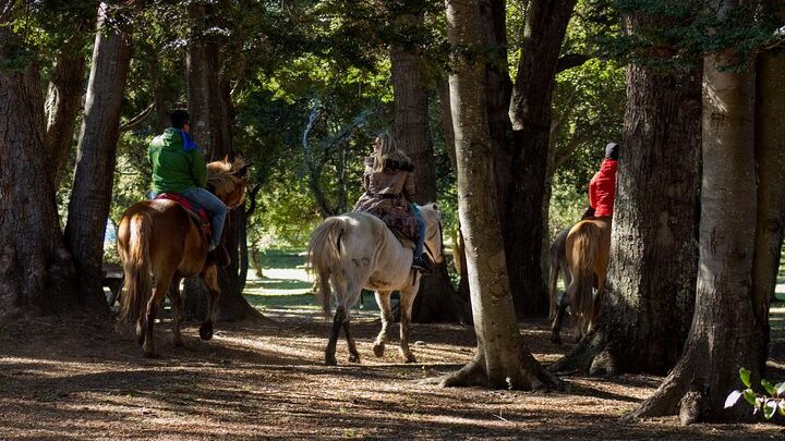 Patagonian Horseback Riding Experience in Baqueanos