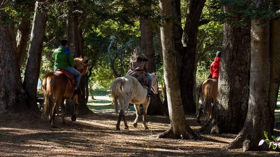 Patagonian Horseback Riding Experience in Baqueanos