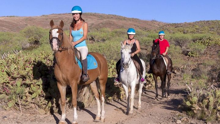 The Best Horse Riding Experience in Gran Canaria (1 hour)