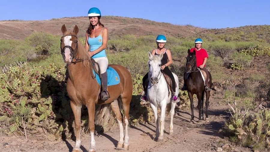 The Best Horse Riding Experience in Gran Canaria (1 hour)
