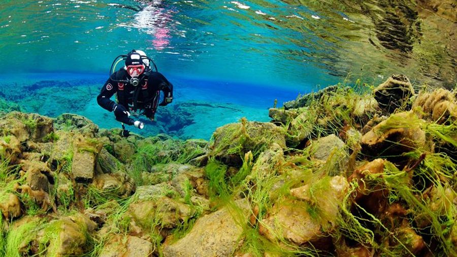 Iceland: Silfra Small-Group PADI-Certified Scuba Diving Tour