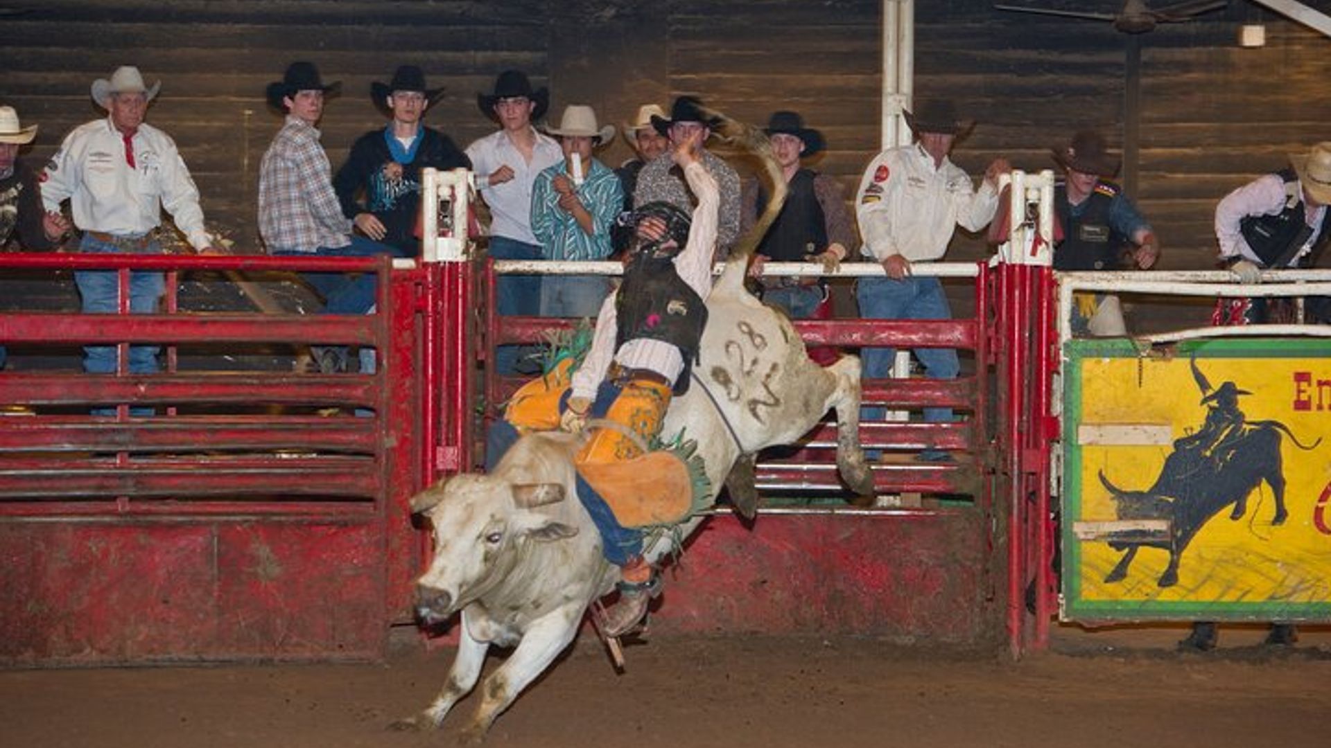Billy Bob's Texas Honky Tonk Dinner and Photo Package image 1