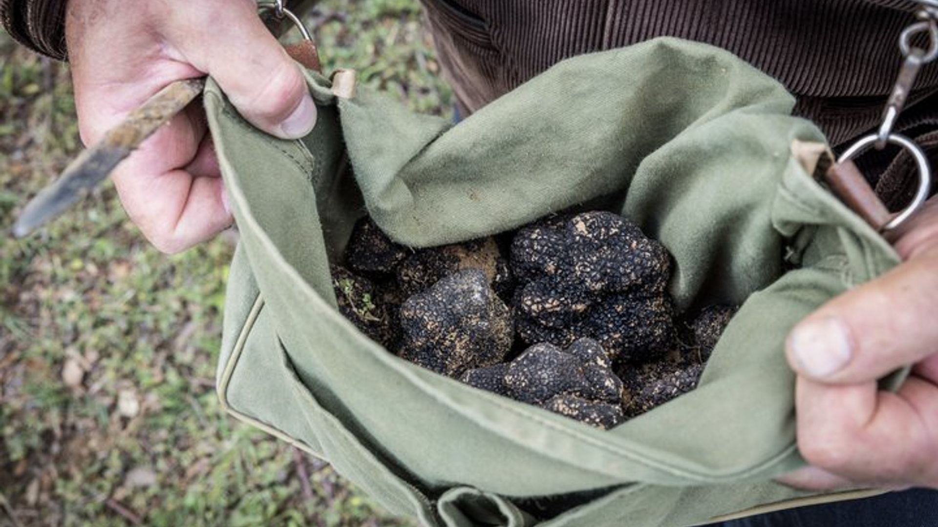 Excursión privada de un día al vino en Côtes du Rhone