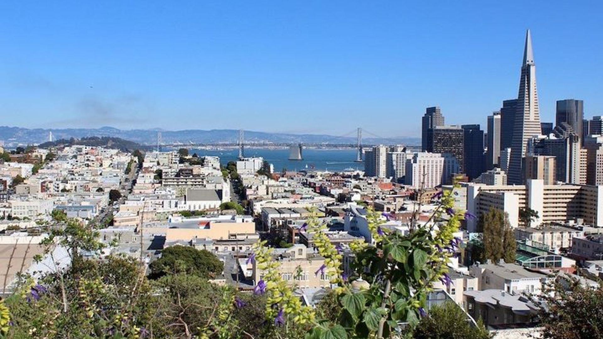 Coit Tower, Lombard Street, North Beach SF Urban Hiking Tour image 1