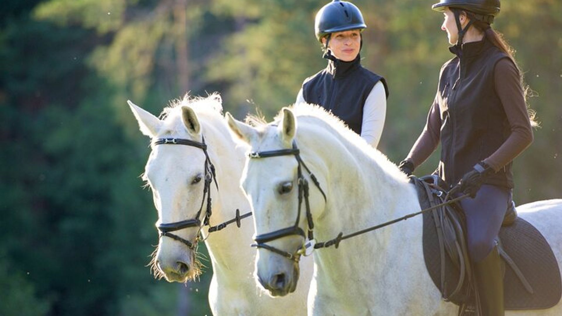 Exclusive Horseback Experience and Wine Tasting