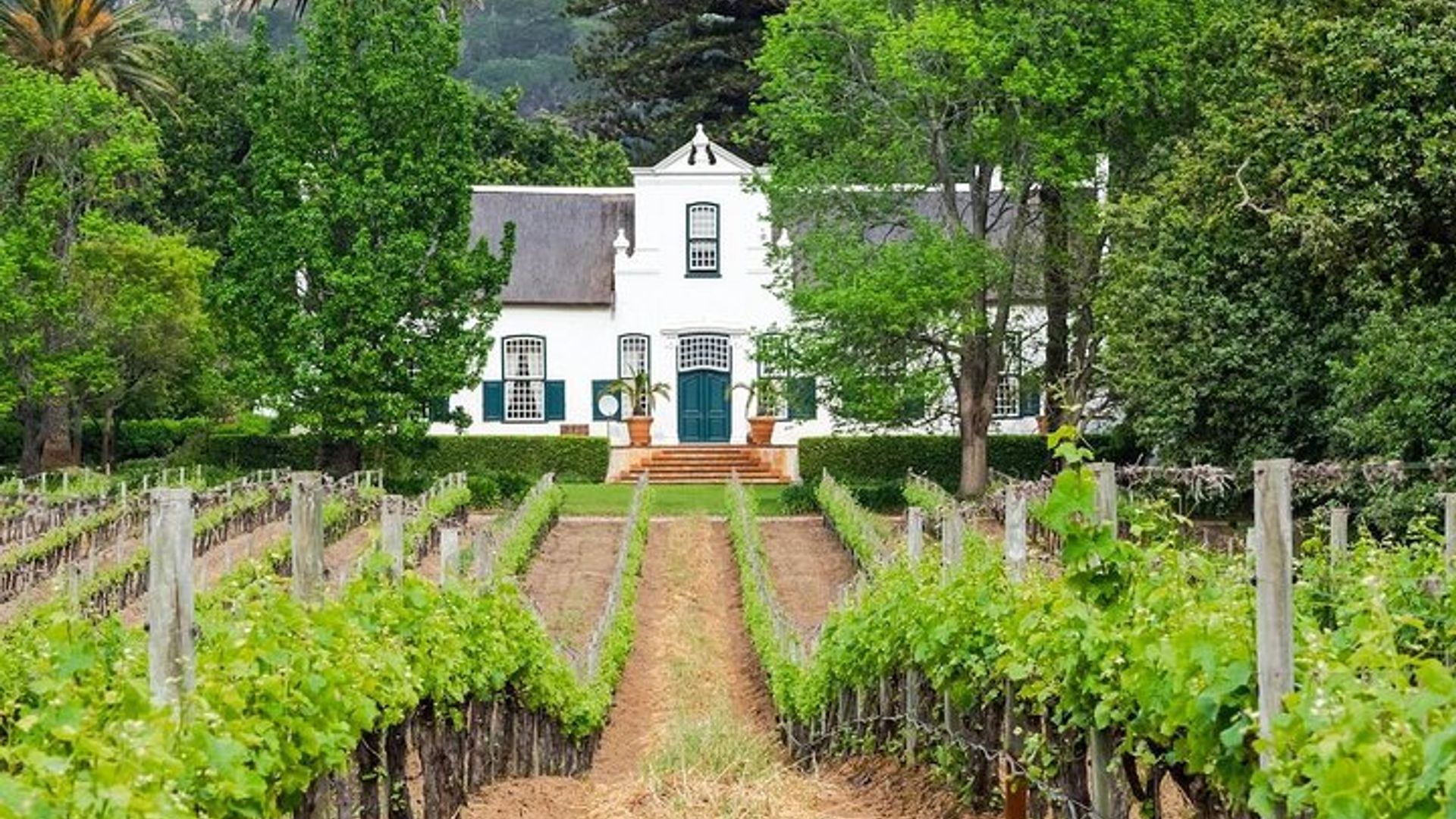 Half-Day Stellenbosch Winelands Tour from Cape Town