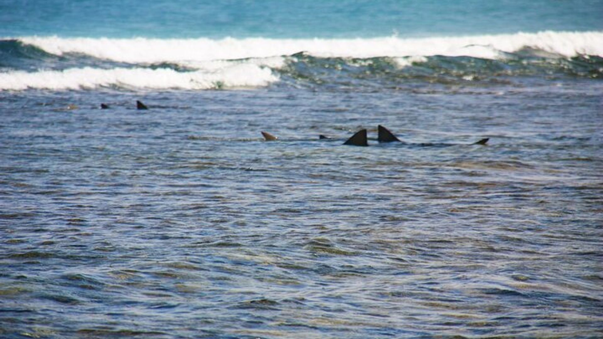 Ganztägige Sal Island Tour in Santa Maria